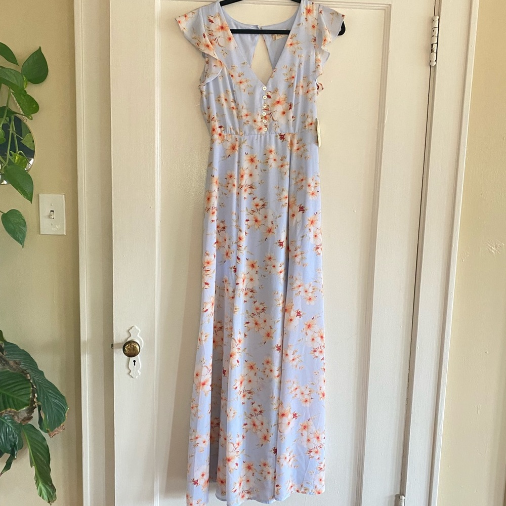Baby blue floral maxi dress- Alter’d State